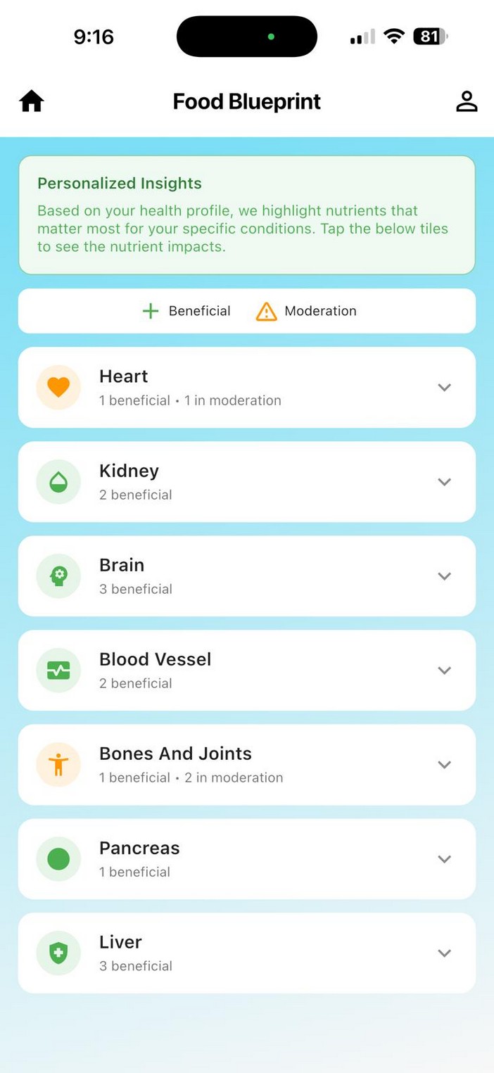 DietMaze food blueprint screen