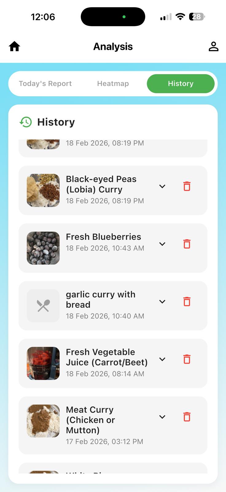 DietMaze food history screen